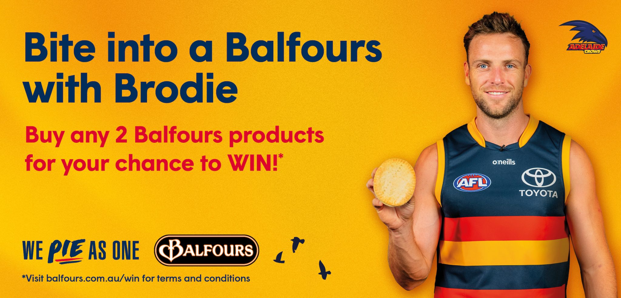 Balfours Wholesale Bakery Bakery Supplies Adelaide Sydney